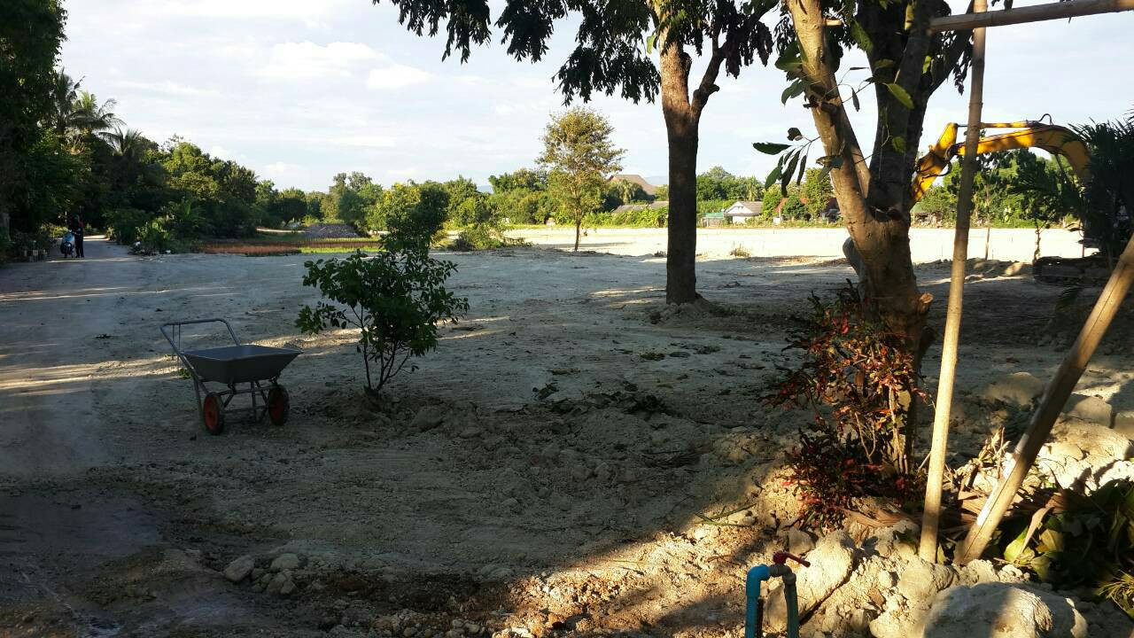 Land for Sale Donkeaw Maerim - Land