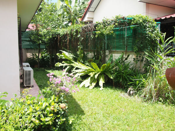 Lots of Living Space in Pimook