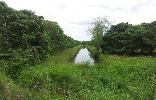 Land for Sale in Hang Dong