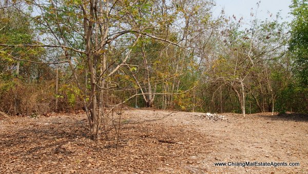 Land and Houses for Sale in Ban Pong