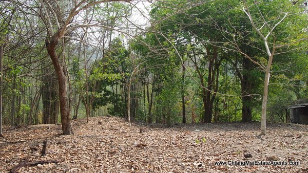 Land and Houses for Sale in Ban Pong