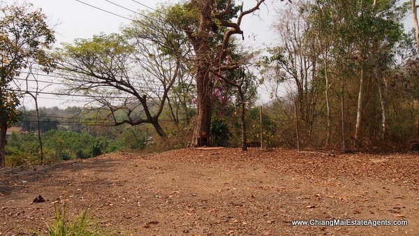 Land and Houses for Sale in Ban Pong