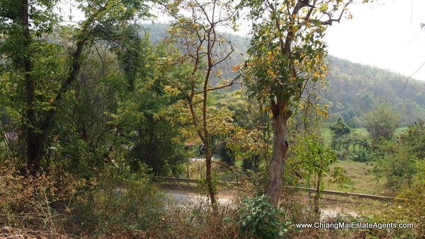 Land and Houses for Sale in Ban Pong