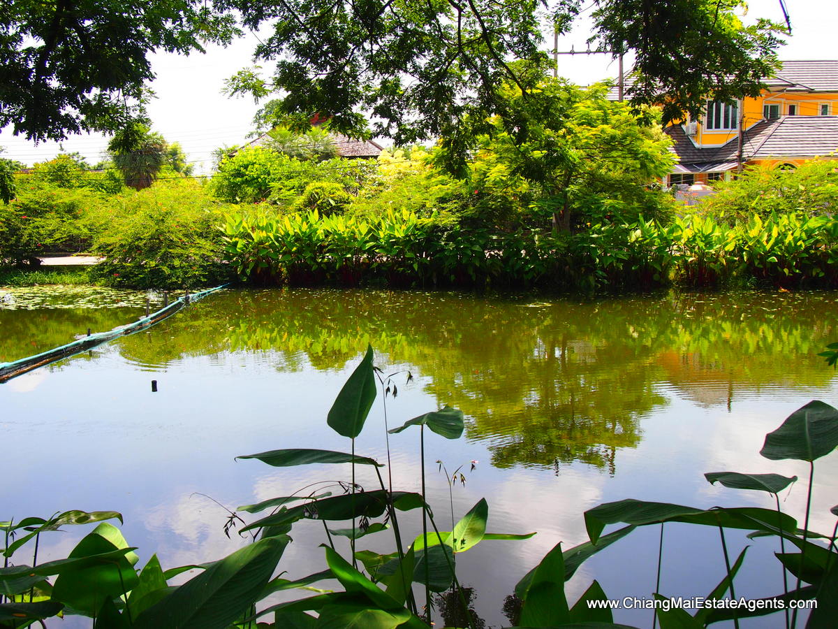 Brand New Condo For Sale in Chiang Mai