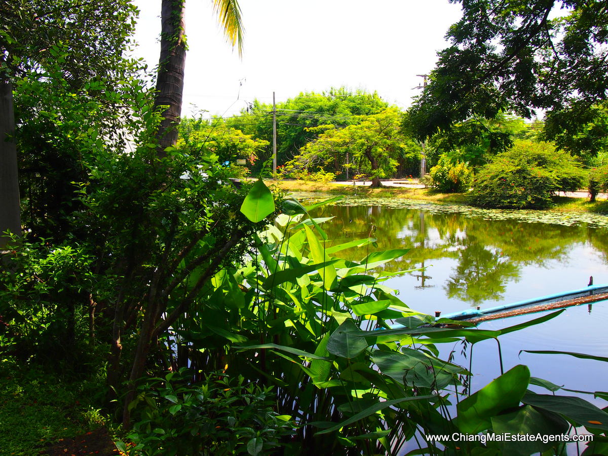Brand New Condo For Sale in Chiang Mai