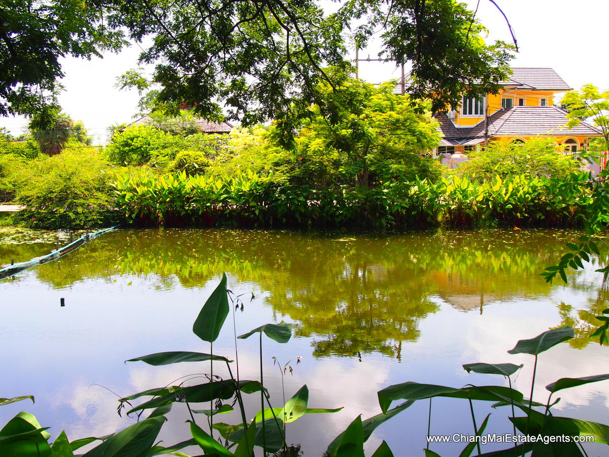 Brand New Condo For Sale in Chiang Mai