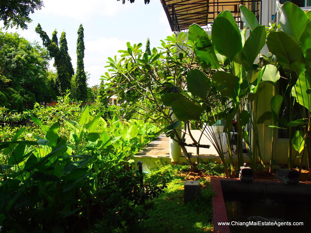 Brand New Condo For Sale in Chiang Mai
