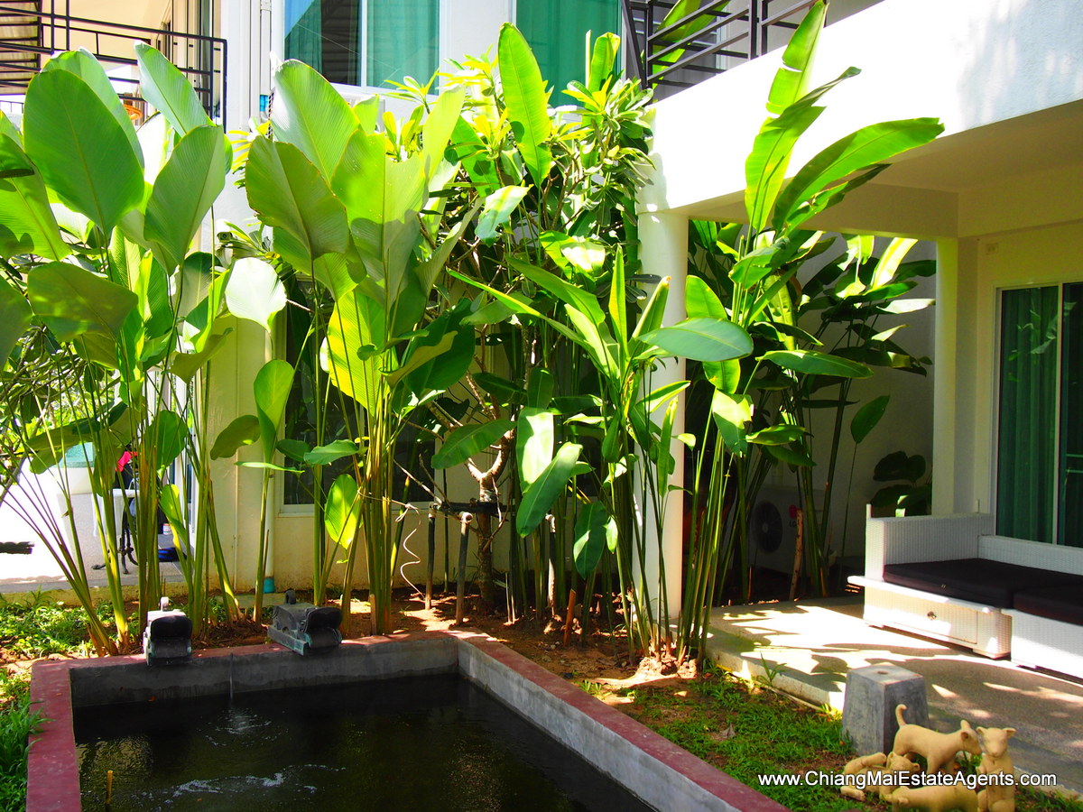 Brand New Condo For Sale in Chiang Mai