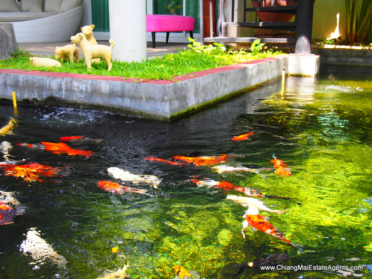 Brand New Condo For Sale in Chiang Mai