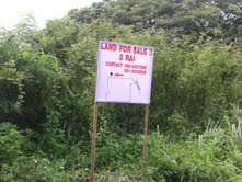 2 Rai Of Land For Sale In Mae Hia - Land