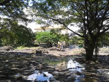 2 Rai Of Land For Sale In Mae Hia - Land