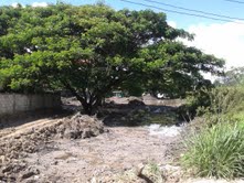 2 Rai Of Land For Sale In Mae Hia - Land