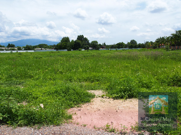 Over 10 Rai of Land For Sale in Baan Tawai - Land
