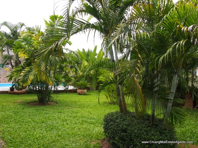 House for Rent with Pool in Doi Saket