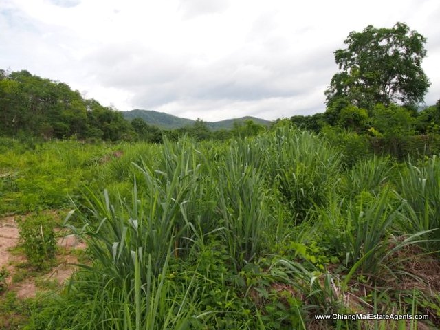 Beautiful 4 Rai for sale in Nam Phrae - Land