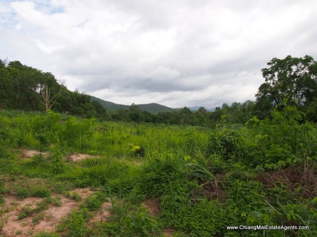 Beautiful 4 Rai for sale in Nam Phrae - Land