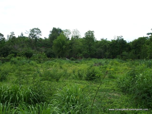 Beautiful 4 Rai for sale in Nam Phrae - Land