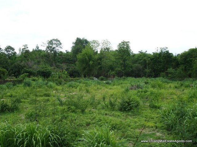 Beautiful 4 Rai for sale in Nam Phrae - Land