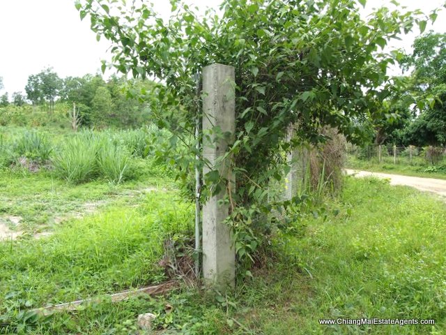 Beautiful 4 Rai for sale in Nam Phrae - Land