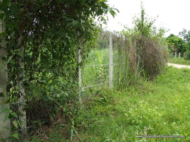 Beautiful 4 Rai for sale in Nam Phrae - Land