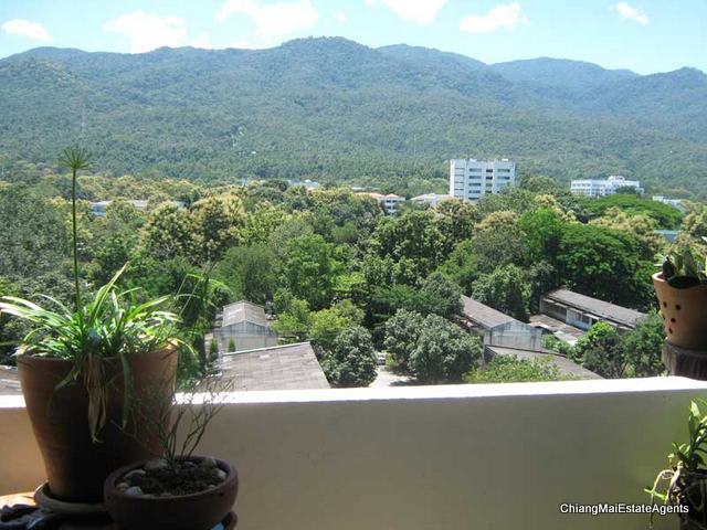 Fully Furnished 3 Bed/ 2 Bath Condo for Rent