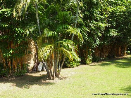 House for rent in Moo Baan Home in Park