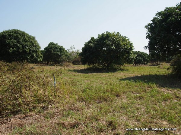 53 Rai of Land for Sale in Nam Phrae