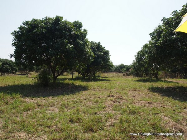 53 Rai of Land for Sale in Nam Phrae