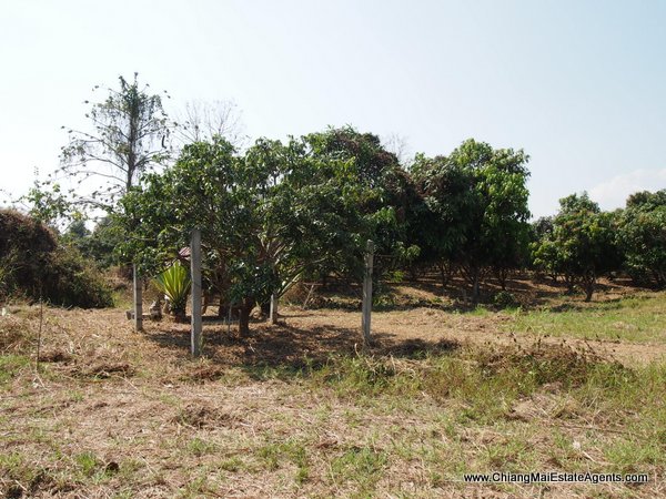 53 Rai of Land for Sale in Nam Phrae