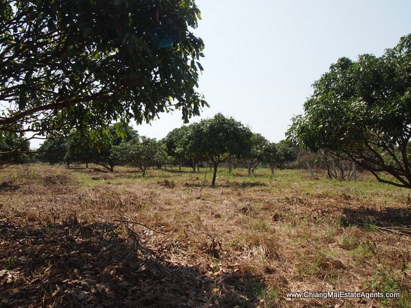 53 Rai of Land for Sale in Nam Phrae