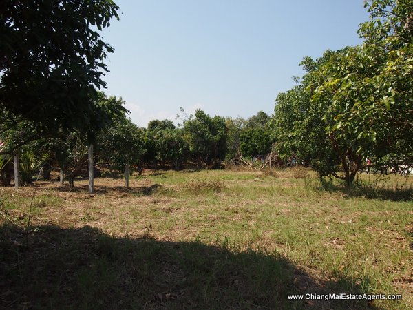 53 Rai of Land for Sale in Nam Phrae