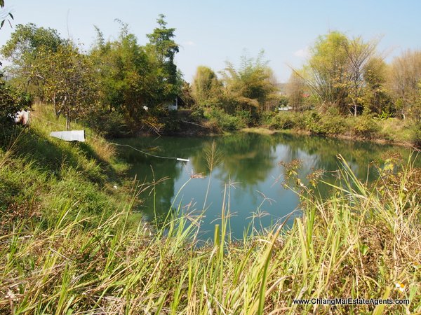 53 Rai of Land for Sale in Nam Phrae