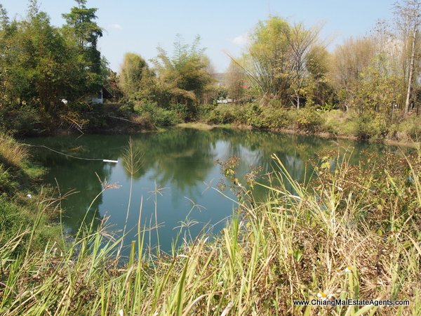 53 Rai of Land for Sale in Nam Phrae