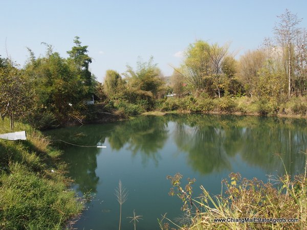 53 Rai of Land for Sale in Nam Phrae