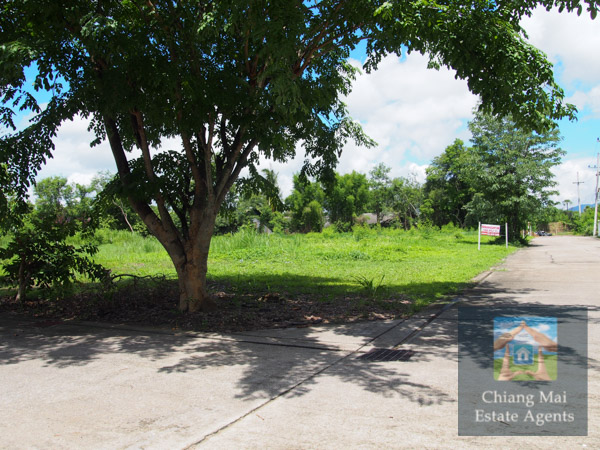 Land For Sale in Royal View - Land