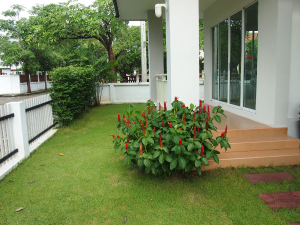 Brand New 2 Bed Bungalow