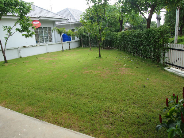 Brand New 2 Bed Bungalow