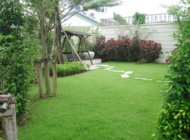 3bedrooms Brand new House for Rent