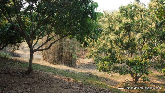 4 Rai of Land in Ban Pong, Hang Dong
