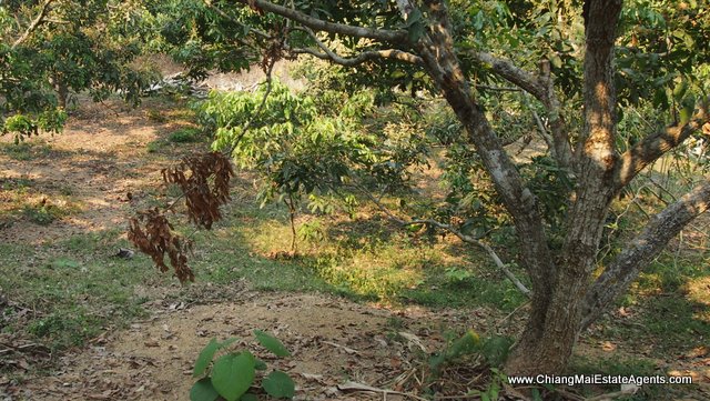 4 Rai of Land in Ban Pong, Hang Dong