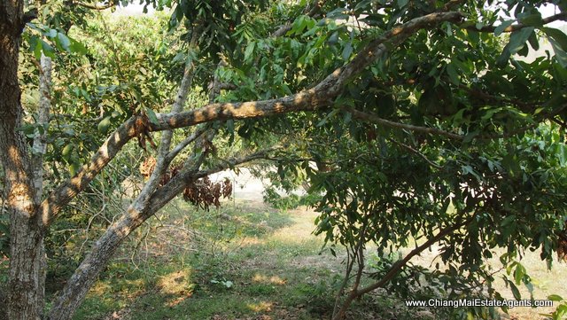 4 Rai of Land in Ban Pong, Hang Dong