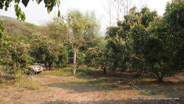 4 Rai of Land in Ban Pong, Hang Dong