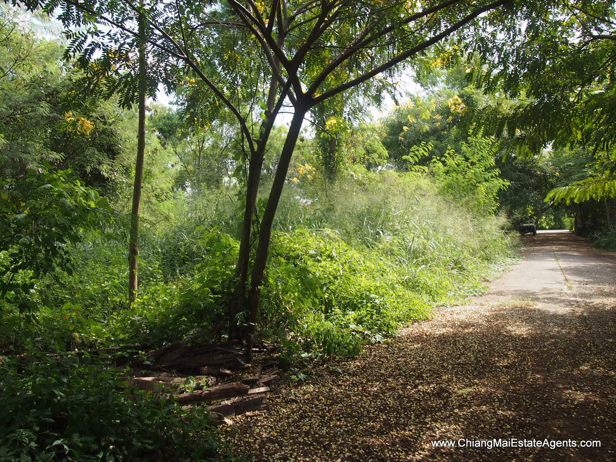 1 Rai of Land for Sale in Tanbon Suthep