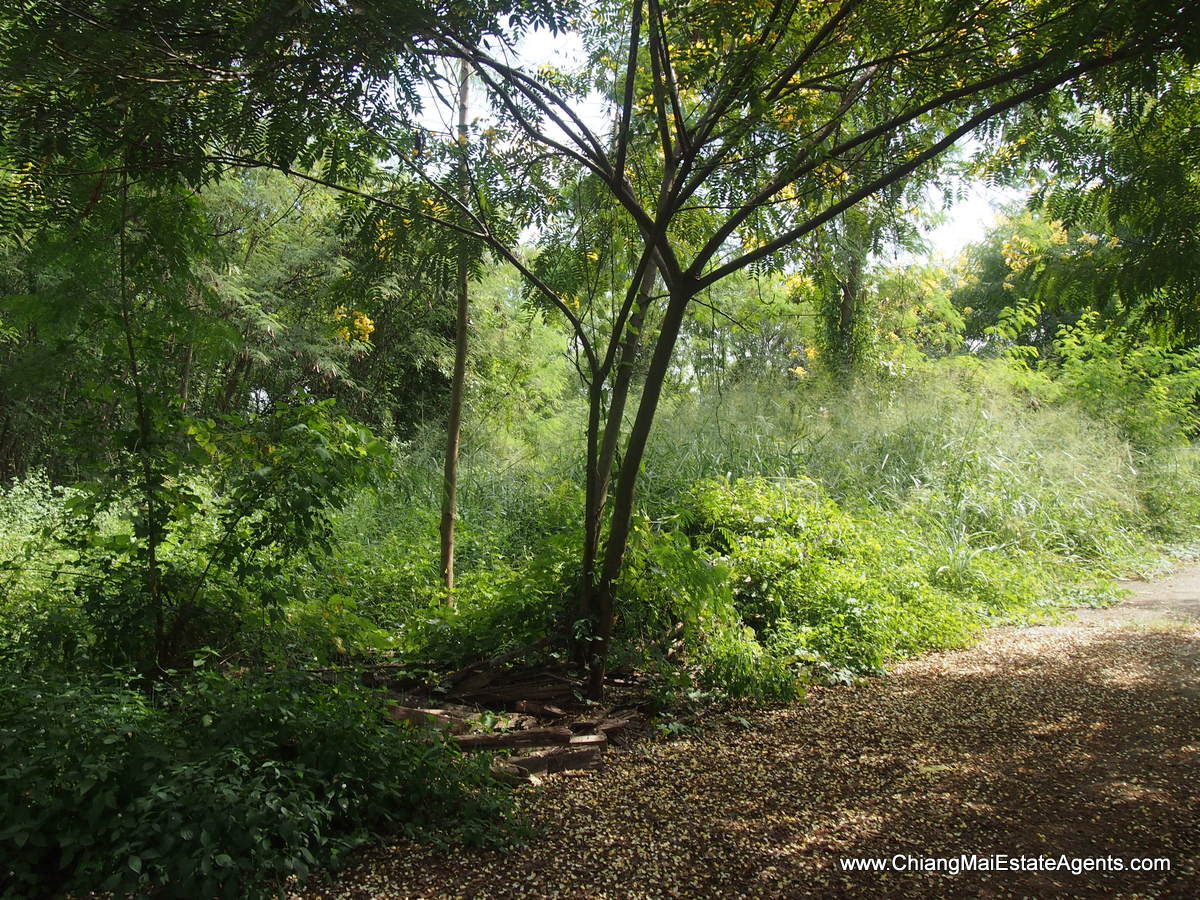 1 Rai of Land for Sale in Tanbon Suthep