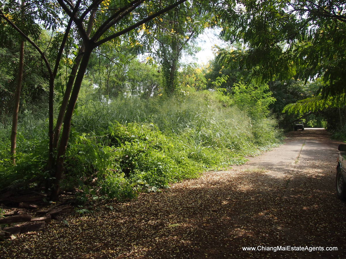 1 Rai of Land for Sale in Tanbon Suthep