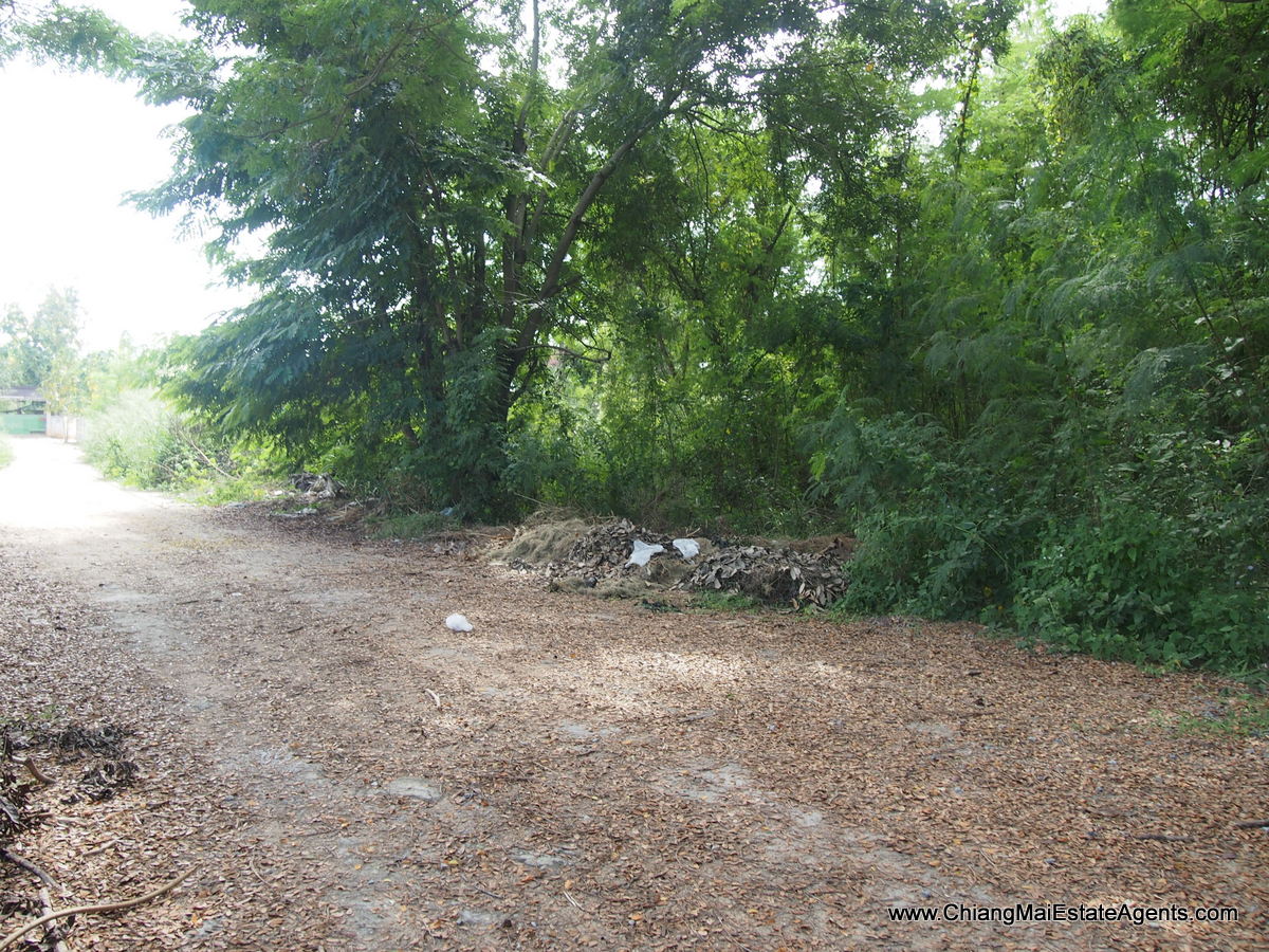 1 Rai of Land for Sale in Tanbon Suthep