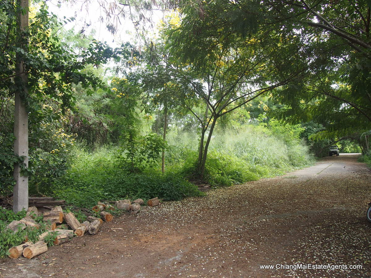 1 Rai of Land for Sale in Tanbon Suthep
