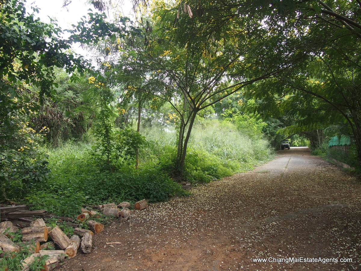 1 Rai of Land for Sale in Tanbon Suthep