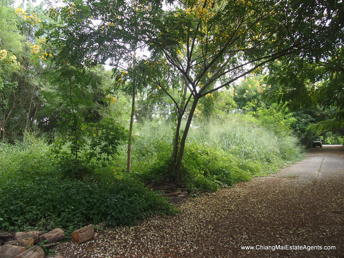 1 Rai of Land for Sale in Tanbon Suthep