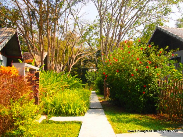 Country Resort for Sale in Mae Rim